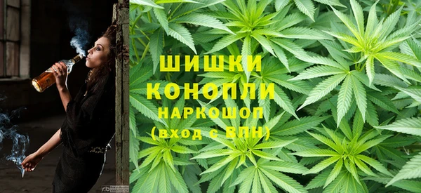 хмурый Лиски