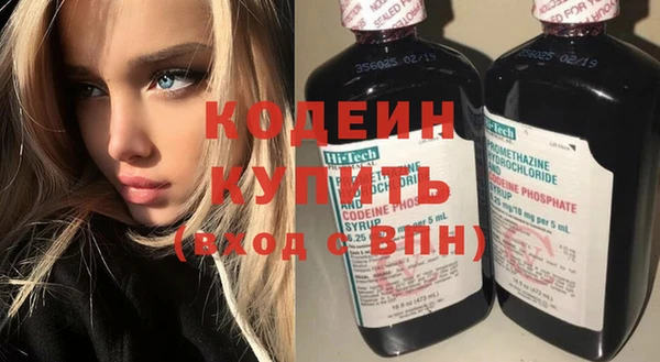хмурый Лиски