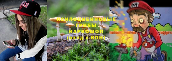 стафф Абаза
