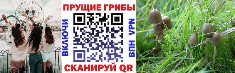 Галлюциногенные грибы Magic Shrooms  Курск 